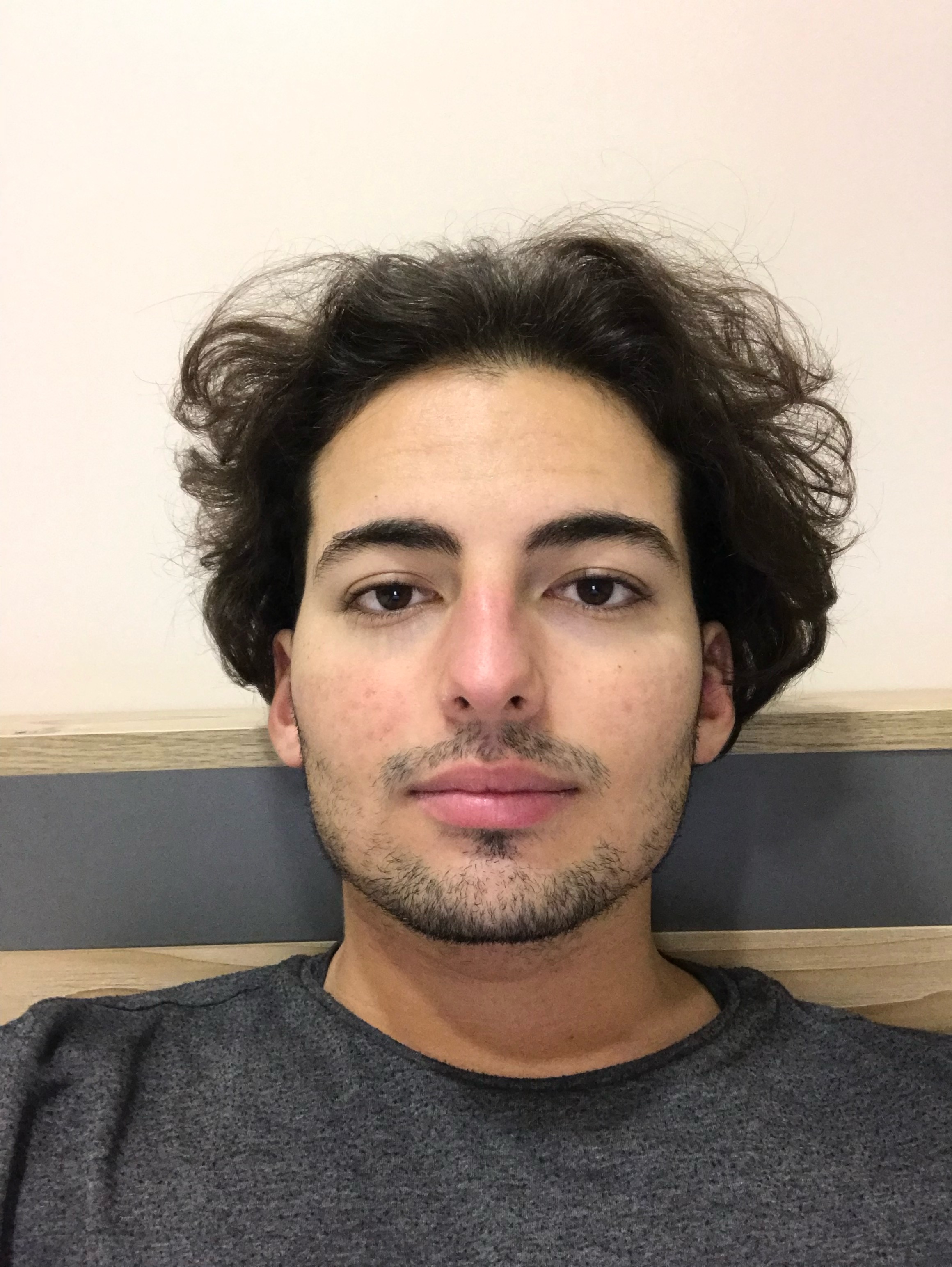 Arif Talha Boz