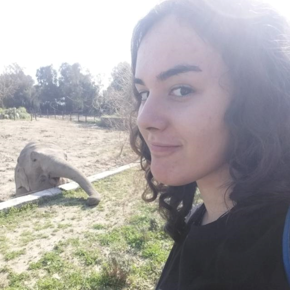 Melissa Doğa Çetinkaya