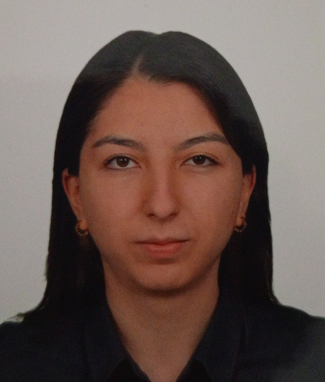 Feyza Melek BAYIR