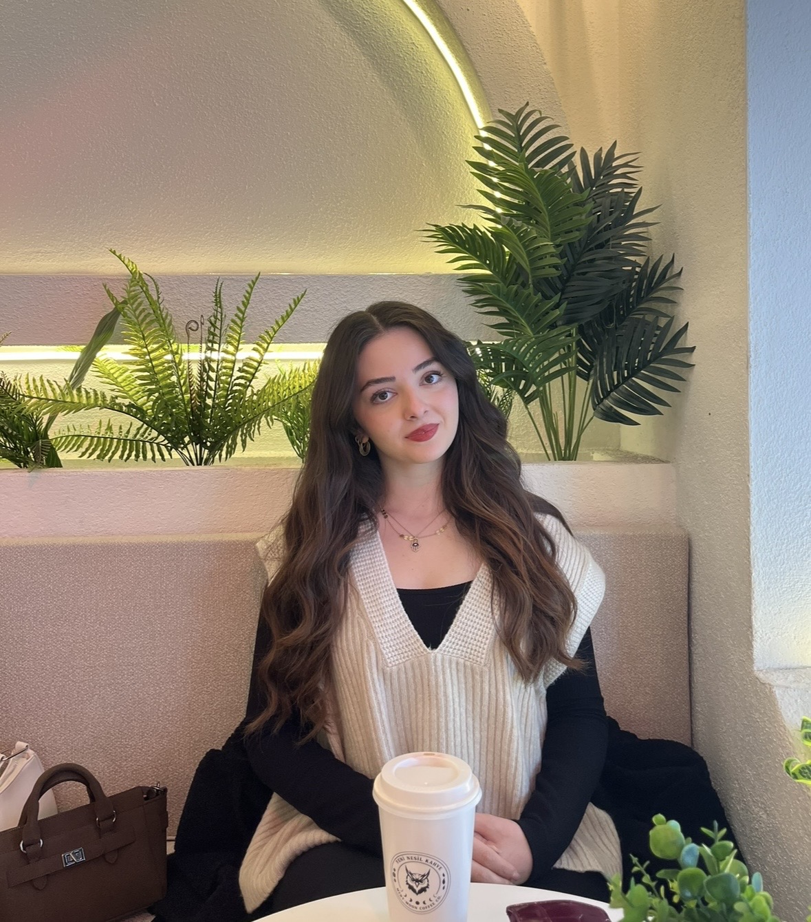 Sudem Bayrak
