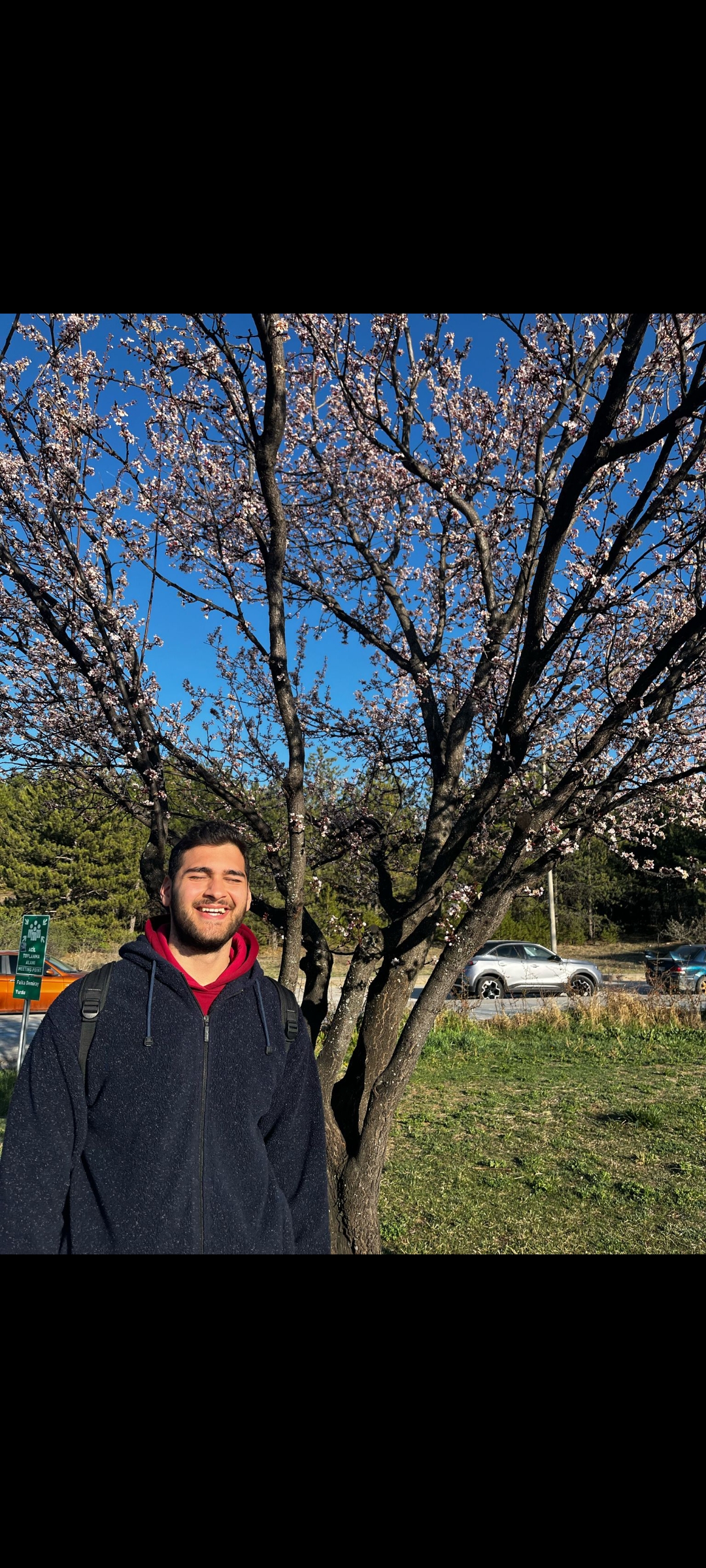 Nadir Gök