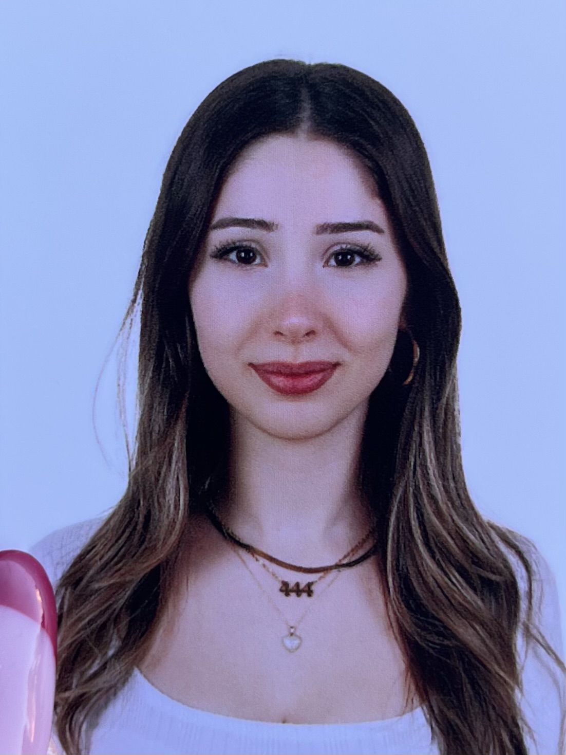 beren alaçam