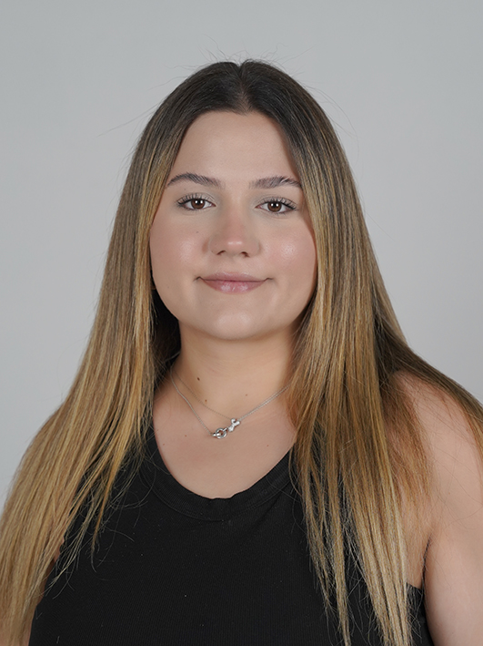 Egesu Erdem
